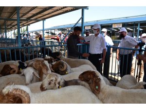 Kurban Bayramı öncesi tüm tedbirler gözden geçirildi