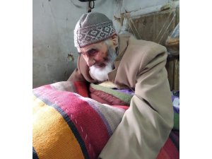 Çameli’nin en yaşlı çınarı hayatını kaybetti