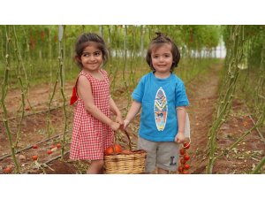 Gazi şehrin minik elleri sebze hasadı yaptı