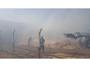 Çine ve Efeler’deki yangınlara büyükşehir itfaiyesi müdahale etti