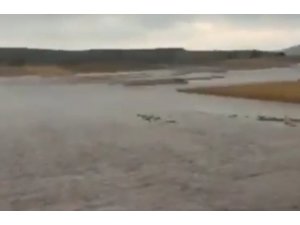 Altıntaş’ta aşırı yağış tarım arazilerinde zarara yol açtı