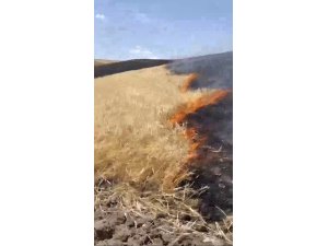 Başkan Sayan’a ait tarım arazisinde yangın çıktı