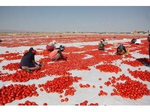 Diyarbakır’ın kurutulmuş domatesleri dünyaya ihraç ediliyor