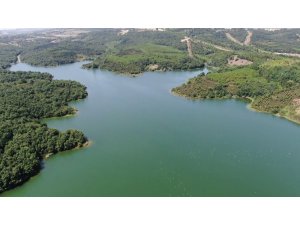 Son 10 yılın en yüksek seviyesinde olan Ömerli Barajı havadan görüntülendi