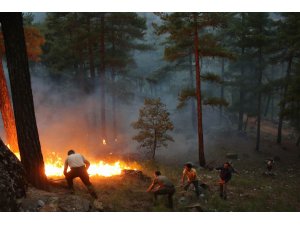 Yahyalı’daki orman yangını devam ediyor