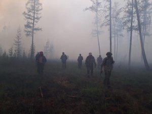 Sibirya’daki orman yangınları 1.3 milyon hektarlık alanı küle çevirdi