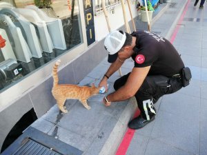 Aksaray’da polisin hayvan sevgisi yürekleri ısıttı