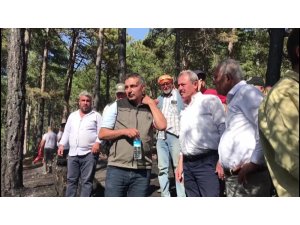 AK Parti Milletvekili Tin ‘Yeşil vatanı’mızı koruyalım’ çağrısında bulundu
