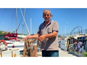 Gebze’de balıkçılar deniz altındaki müsilajdan şikayetçi