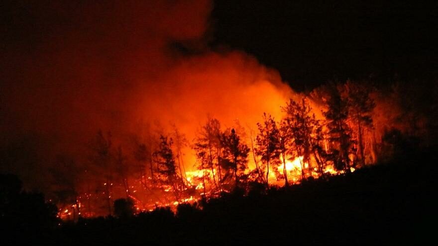 Kanun bir gecede değişti orman yangınları başladı