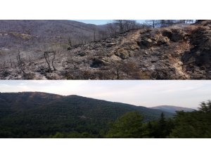 Marmaris’in yangın öncesi ve sonrası havadan görüntüleri, felaketin boyutunu gözler önüne serdi