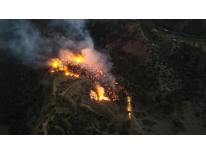 Manisa’da korkutan orman yangını