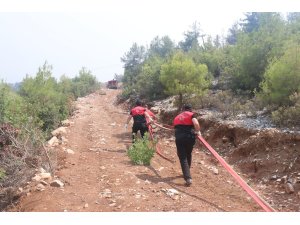 Emniyet Genel Müdürlüğü birlikleri orman yangınlarıyla mücadelede ekiplere destek veriyor