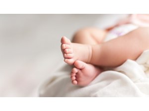 6 ayda 2 bin 66 bebek dünyaya geldi - Vimarsana News