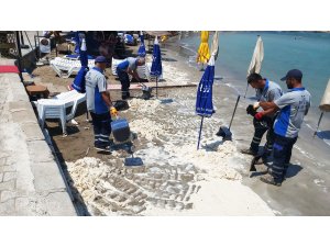 Datça sahilinde tedirgin eden görüntü