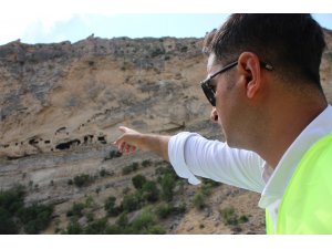 Tunceli’nin dikkat çeken kaya konutları ’İn delikleri’ için ilk adım atıldı