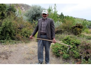 Ahmet Dede, kasabasında bulunan dağa 34 yıldır fidan dikiyor - Vimarsana News