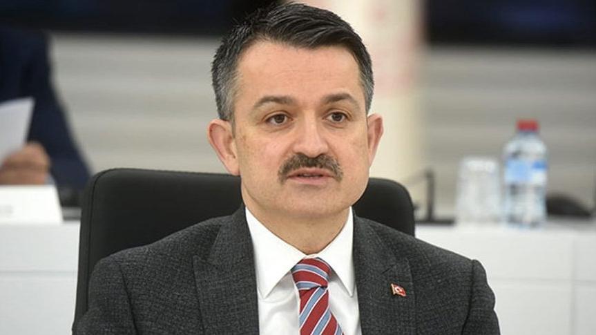 Bakan Pakdemirli: Yerleşim yerlerini tehdit eden yangın yok