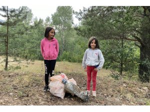 Gümüşhane ormanlarında şişe seferberliği - Vimarsana News