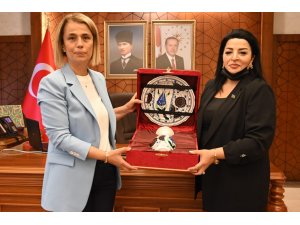 Azeri vekilden Vali Becel'e ziyaret - Vimarsana News