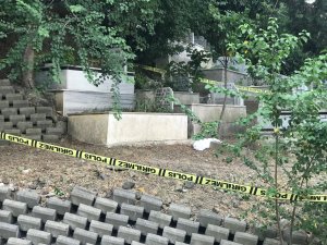 Şişli Feriköy Mezarlığı’nda ceset paniği