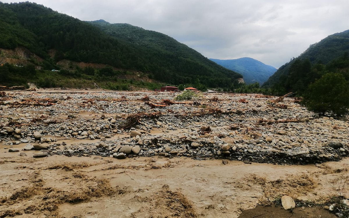 Ayancık’ı tomruk inadı bu hale getirdi