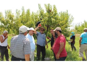 Iğdır İl Tarım Müdürü Yolcu, tarlada çalışan çiftçileri dinledi