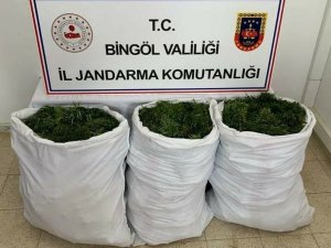 Bingöl’de 84 kilogram esrar ele geçirildi