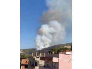 Çine’de orman yangını