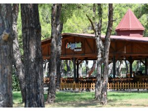 HayatPark'a Edremit'ten ödül - Vimarsana News