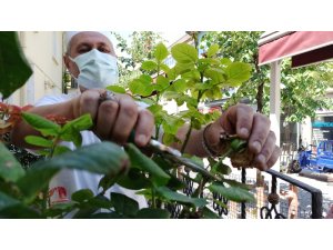 Görevli olduğu camide evinden çok zaman geçiriyor - Vimarsana News