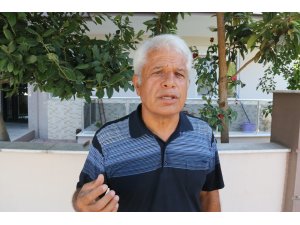 Yat turunda denize giren kadını kaplumbağa ısırdı - Vimarsana News