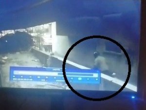 Motosiklet hırsızı kameralara yakalandı - Vimarsana News