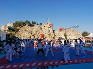 Eğirdir'de 320 sporcunun katılımıyla Taekwondo Zafer Kupası heyecanı - Vimarsana News
