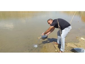 Malatya’da göletlere 120 bin yavru balık bırakıldı