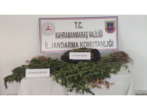 Kahramanmaraş’ta uyuşturucu operasyonu