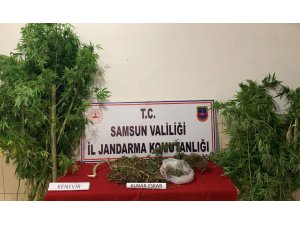 Jandarmadan uyuşturucu operasyonu