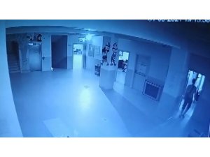Okul fareleri kameraya yakalandı - Vimarsana News