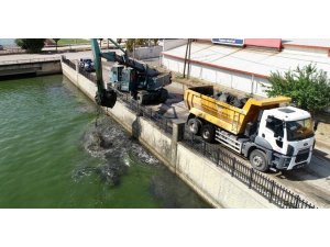 Balık ölümlerinin artmaya başladığı Akarçay’da temizlik çalışması başlatıldı