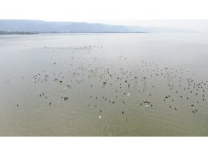 Binlerce kuşa ev sahipliği yapan Uluabat’ta çember daralıyor