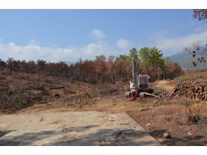 Mersin’de yanan ormanlık alanlar ağaçlandırılacak