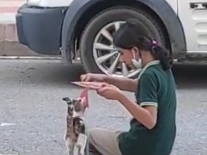 Batman’da küçük kızdan yürek ısıtan davranış: Yemeğini sokak kedisiyle paylaştı