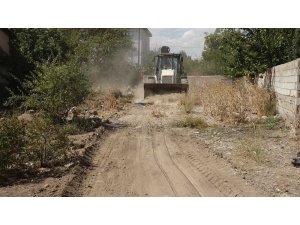 Ağaçta mahsur kalan kedi kurtarıldı