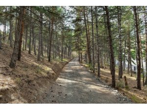 Karaköy Mesire Alanı hizmete açıldı