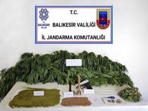 Balıkesir’de polis ve jandarmadan huzur operasyonu: 49 gözaltı