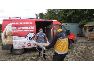Erzincan’da ’hayvan ambulansı’ hizmete girdi