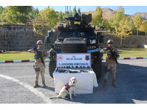 Bitlis’te 10 kilo patlayıcı ile 22 adet el bombası ele geçirildi