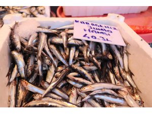 Gaziantepli balıkçılar kebap kültüründen şikayetçi
