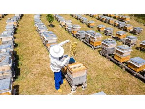 En tatlı destek, tonlarca bala dönüştü