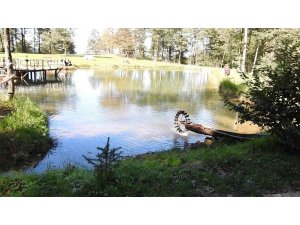 Doğanın Koynundaki Huzur “Barak Gölü”